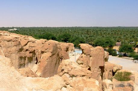 Hofuf Oasis, Saudi Arabia, 2011. Source: Chris Helmkamp. 