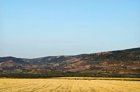 Agricultural fields along the Syrian-Turkish border, Turkey, 2010. Source: Adel Samara.