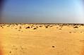 Desert near Basrah, Iraq, 2012. Source: Earth & Marine Environmental Consultants (EAME).